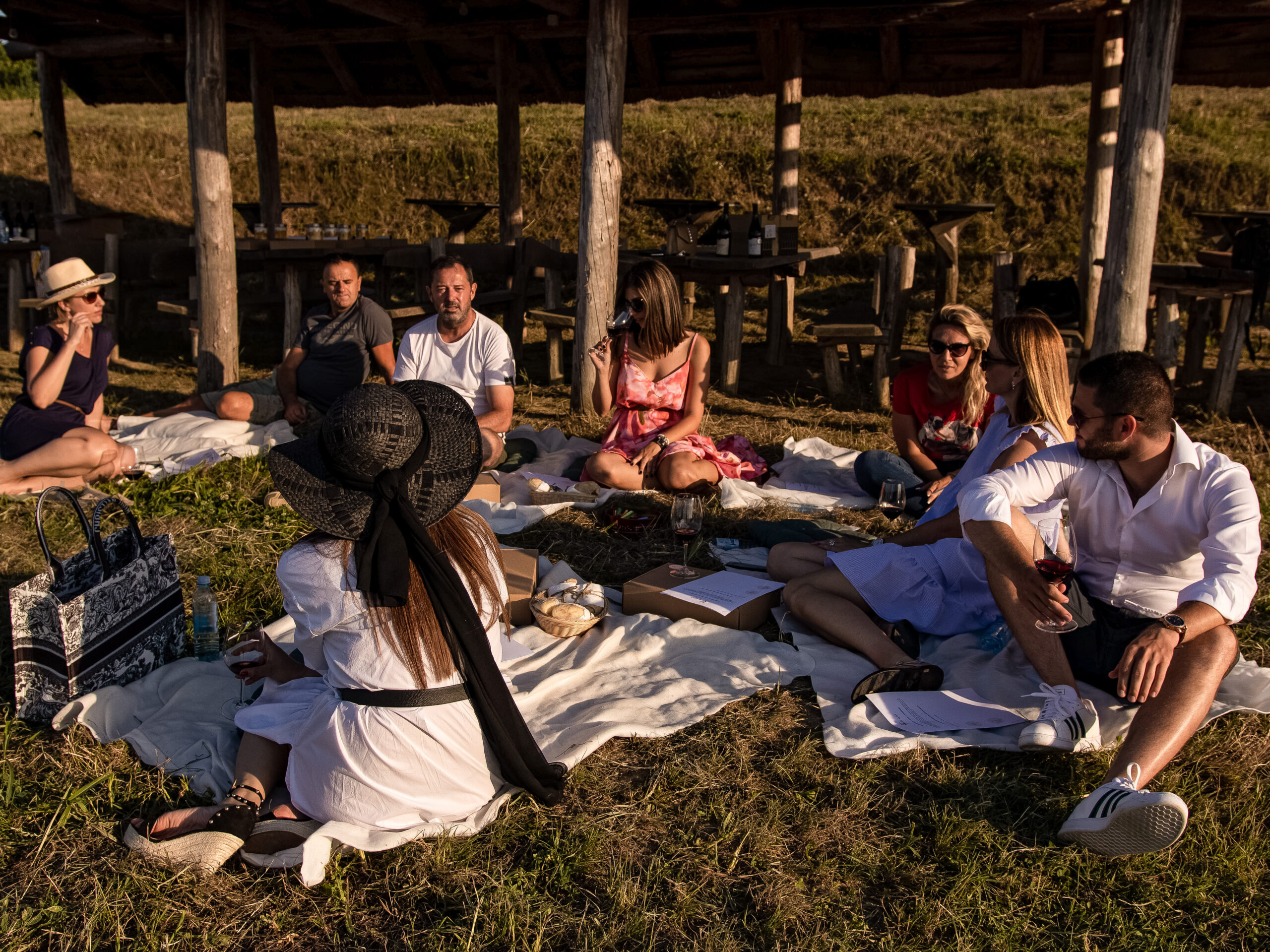 Piknik u vinogradu